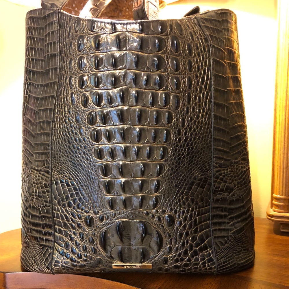 Brahmin Purse (large)